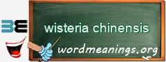 WordMeaning blackboard for wisteria chinensis